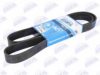 SCANI 1530989 V-Ribbed Belts